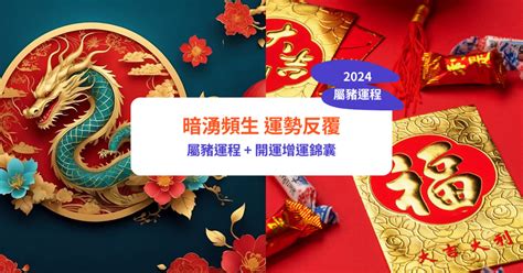 生肖豬運勢|【屬豬2024生肖運勢】暗湧頻生，運勢反覆｜屬豬運 